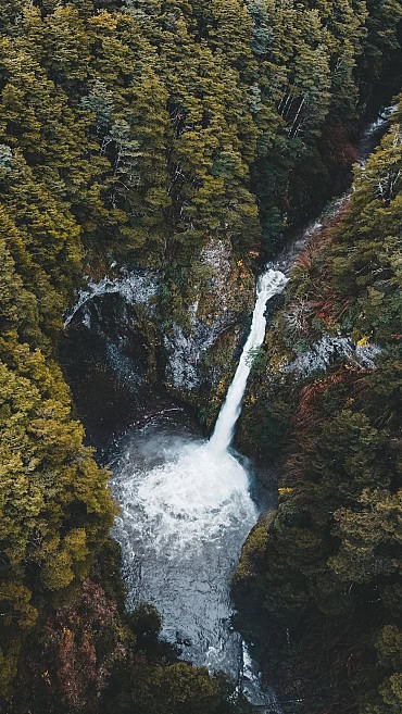 Nature Image 8